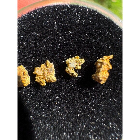 Small Arizona Gold Nuggets in Display Case - 0.15 grams - Picture 6 of 8